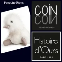 Canard Peluche – Coin Coin (1webp