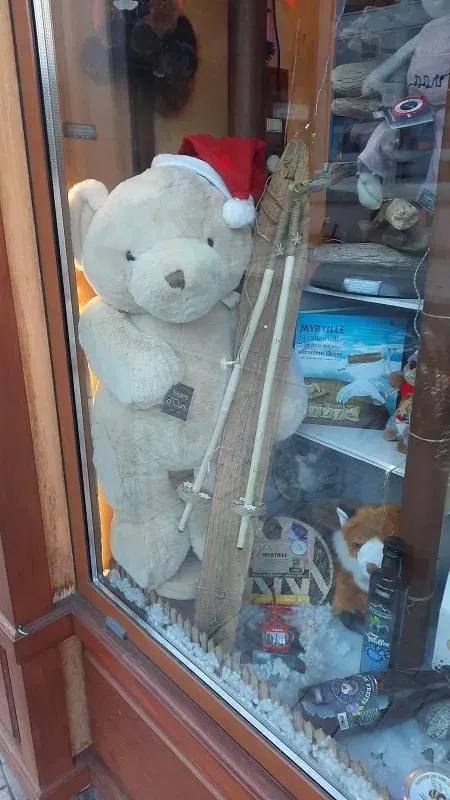 le panier de la marmotte (16)