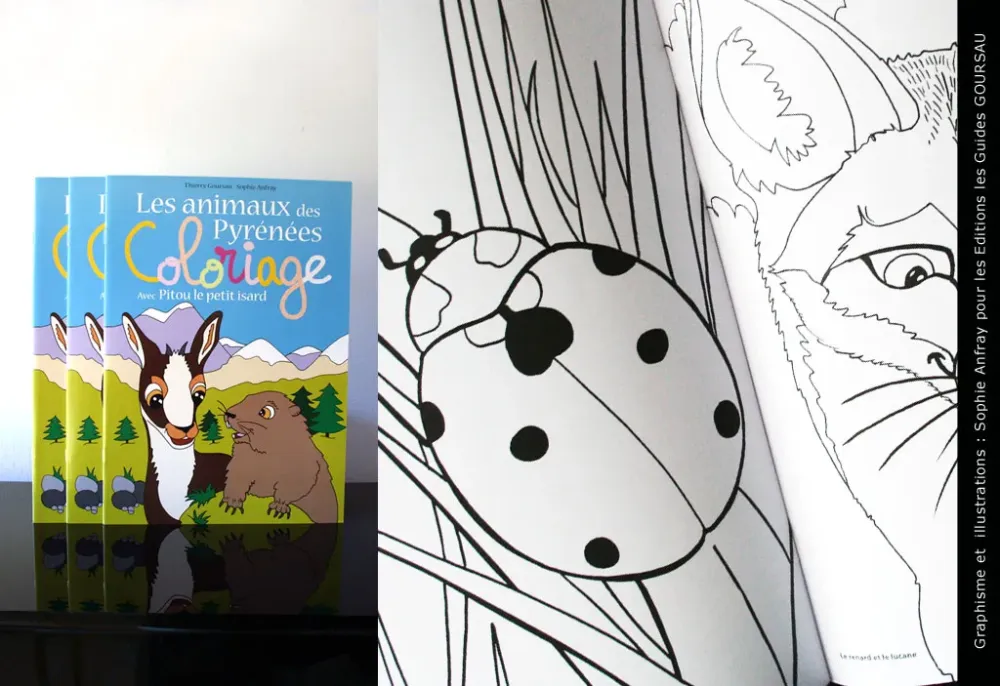 Album de coloriage - les animaux des Pyrénées avec Pitou le petit isard