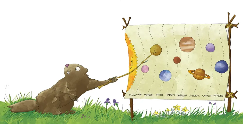 Le Panier de la Marmotte - Myrtille T4 I17-18