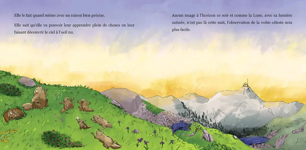 Le Panier de la Marmotte - Myrtille T4 I2