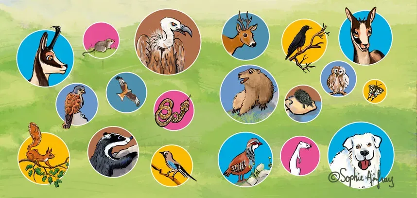 Le Panier de la Marmotte - Pitou T2-trombi