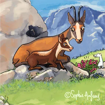 Le Panier de la Marmotte - Pitou T2-03