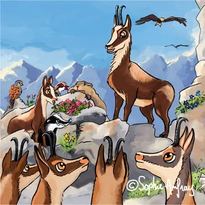 Le Panier de la Marmotte - Pitou T2-02