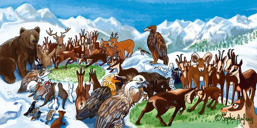 Le Panier de la Marmotte - Pitou T3-16-17