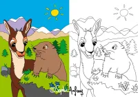 Le Panier de la Marmotte - Coloriage pitou-02