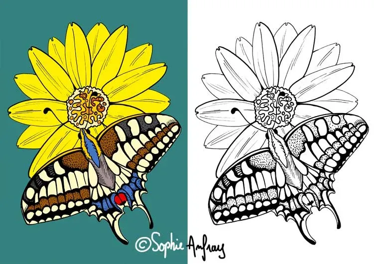 Le Panier de la Marmotte - Coloriage pitou-06