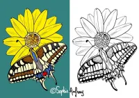 Le Panier de la Marmotte - Coloriage pitou-06