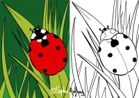 Le Panier de la Marmotte - Coloriage pitou-11