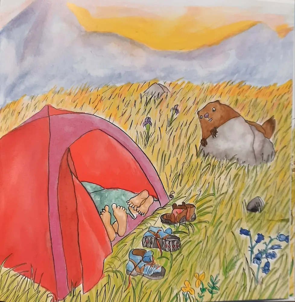 Le Panier de la Marmotte - Myrtille T1 - I2