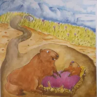 Le Panier de la Marmotte - Myrtille T1 - I1